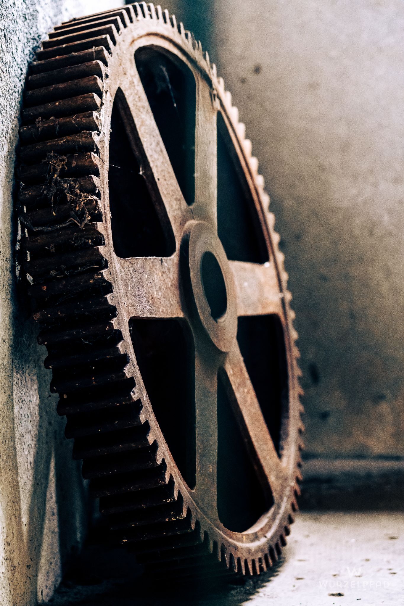 Altes Zahnrad im Ickinger Wehr